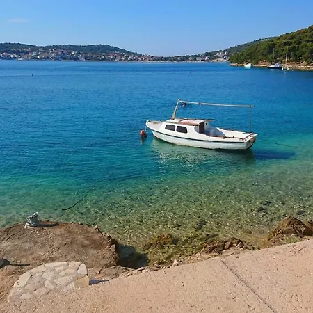 Salvia * 罗戈兹尼察