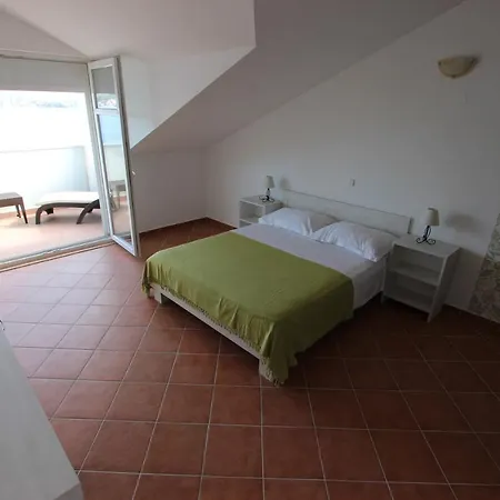 Salvia 罗戈兹尼察