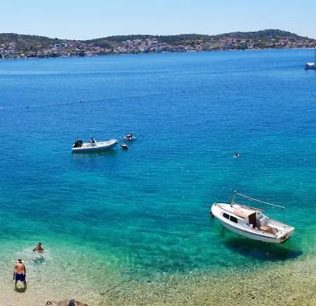Salvia * Rogoznica (Sibenik-Knin)