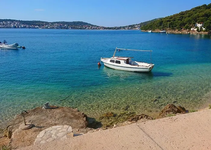 Salvia * Rogoznica (Sibenik-Knin)