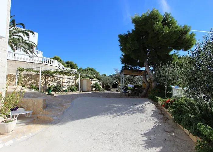 Salvia * Rogoznica (Sibenik-Knin)